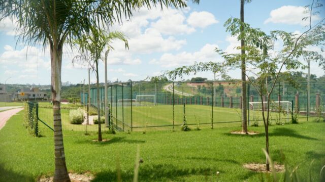Campo de Futebol (paisagismo)